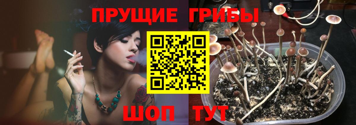 даркнет сайт  Галлюциногенные грибы Cubensis  Вход с VPN  Холмск 